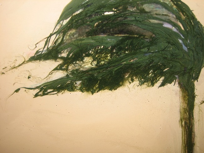 Lowcountry detail_full